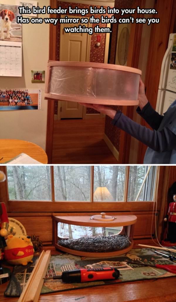 Cool Bird Feeder funny picture