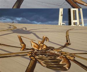 cool spider art funny picture