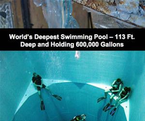 cool things you dont see every day funny picture