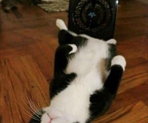 cooling himself off on the fan