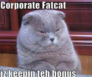 Corporate Fat Cat funny picture