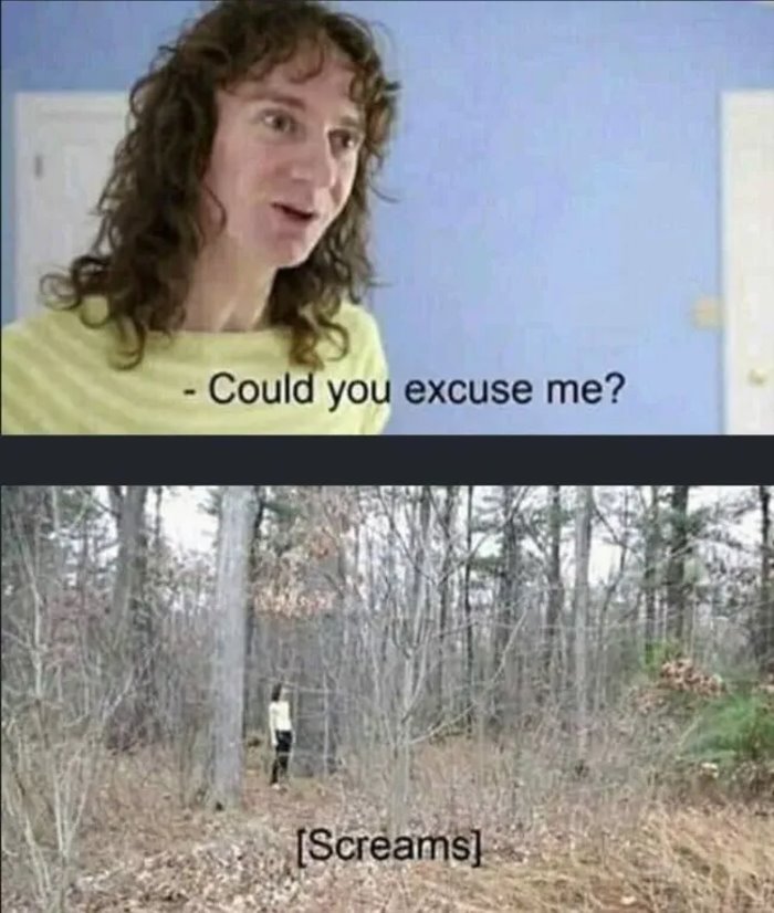 could you excuse me