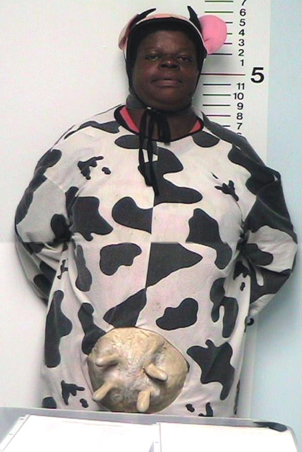 The Halloween Cow