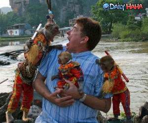 Crazy Monkey Scream Off