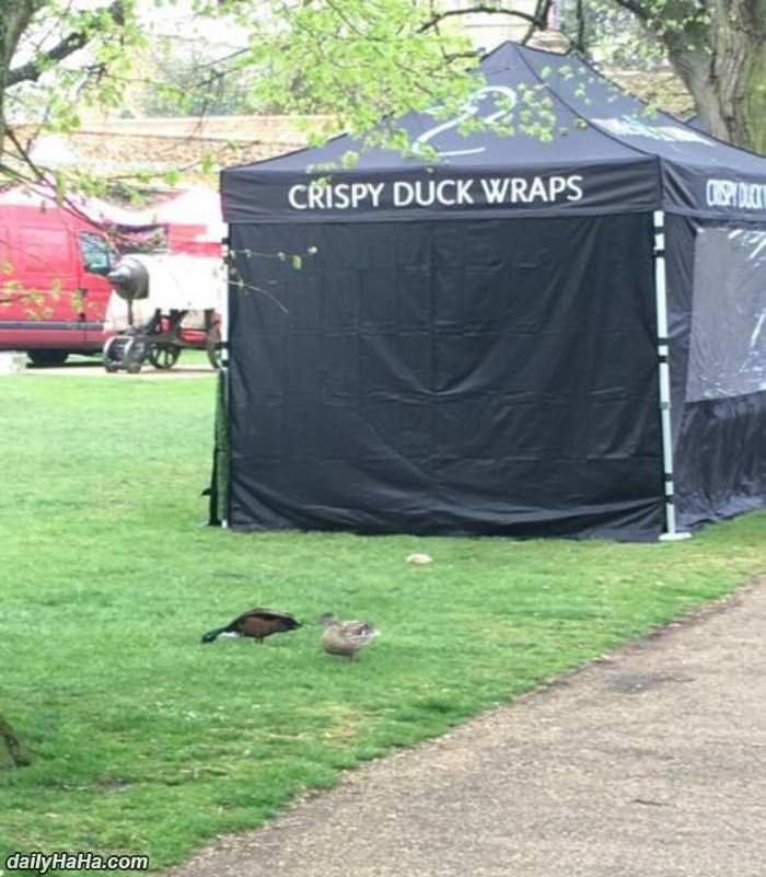 crispy duck wraps funny picture