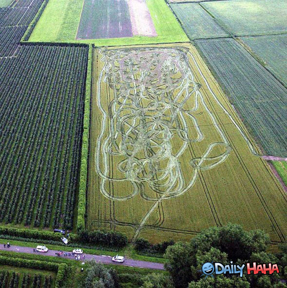 Crop Art