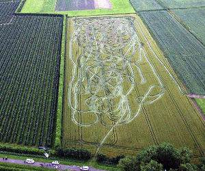 Crop Art