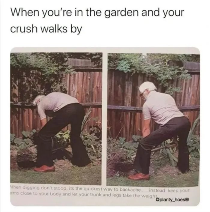 crush walks by