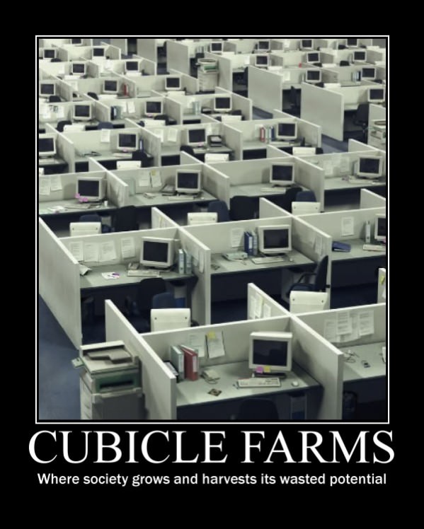 Cubicle Farms funny picture