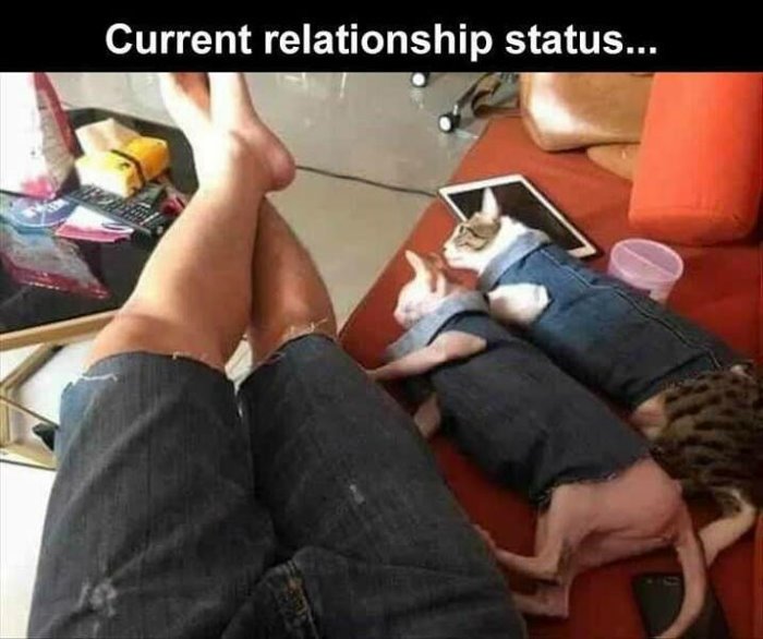 current status ... 2