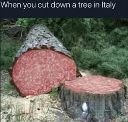 cut down a tree