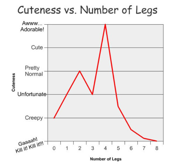 Cuteness vs Legs funny picture