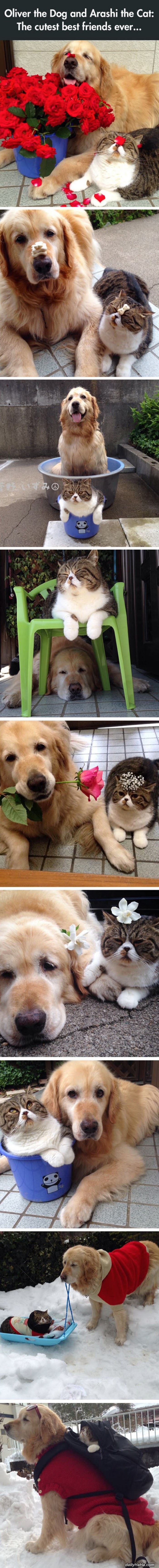 cutest best friends ever funny picture