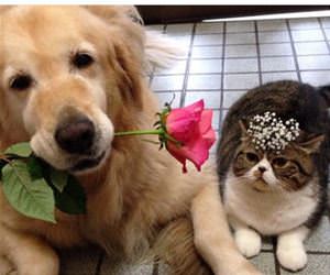 cutest best friends ever funny picture