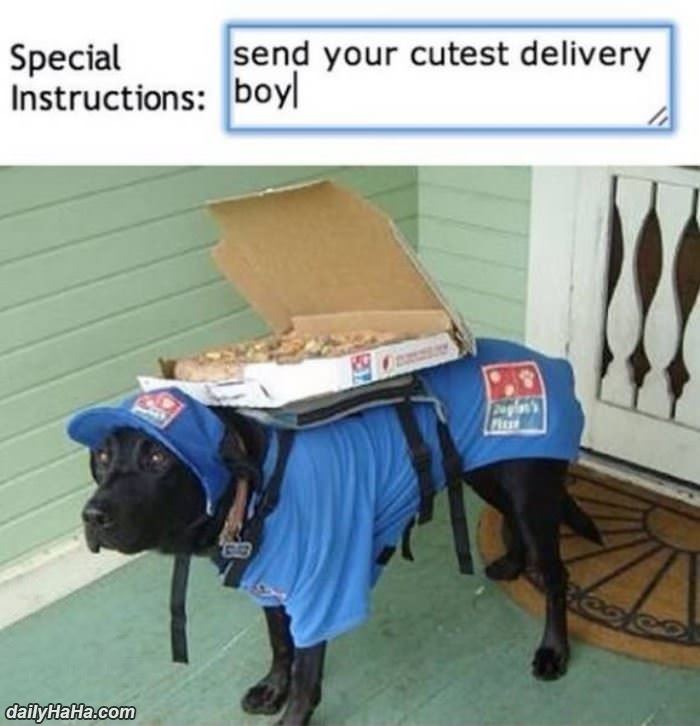 cutest delivery boy funny picture