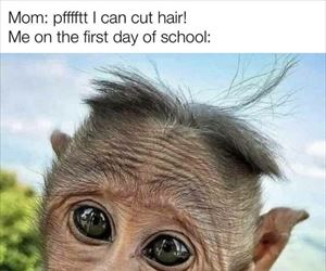 cutting hair