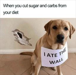 cutting sugar and carbs