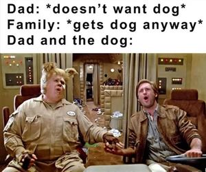 dad and the dog