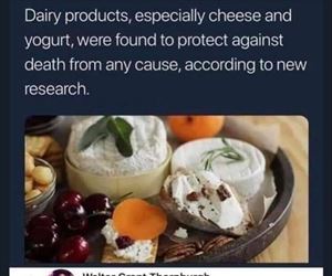 dairy products