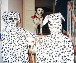 dalmations funny picture