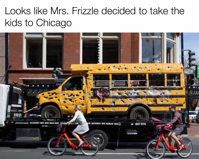 damnet mr frizzle