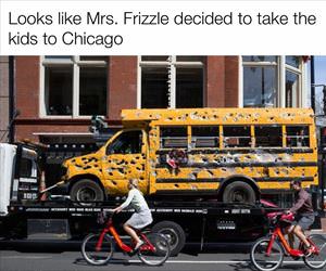 damnet mr frizzle