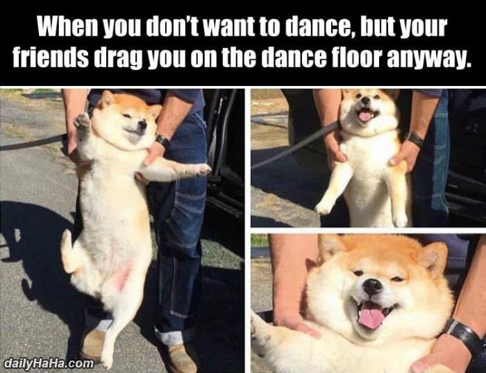 dancing anyways funny picture