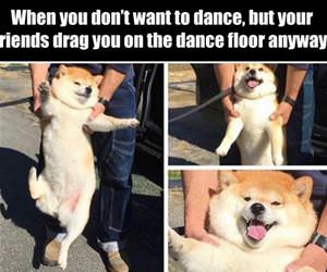 dancing anyways funny picture