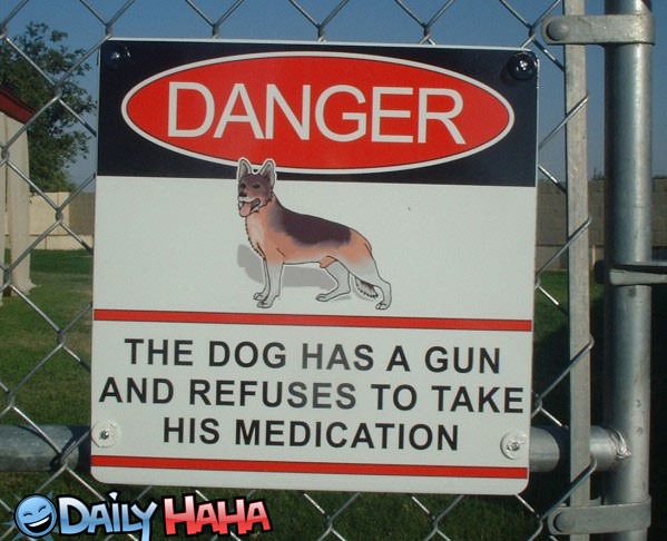 Dog with a Gun Picture