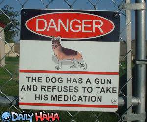 Dog with a Gun Picture