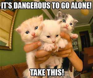 dangerous-to-go-alone funny picture