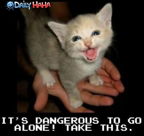 Dangerous to go alone