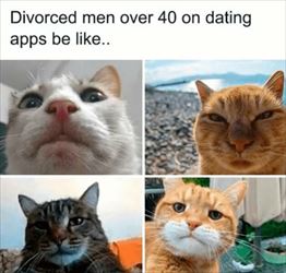 dating apps over 40