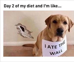 day 2 of my diet ... 2