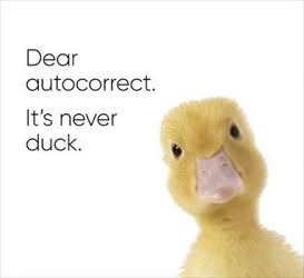 dear auto correct