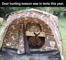 dear hunting season was in tents