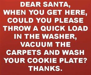 dear santa what i really want funny picture