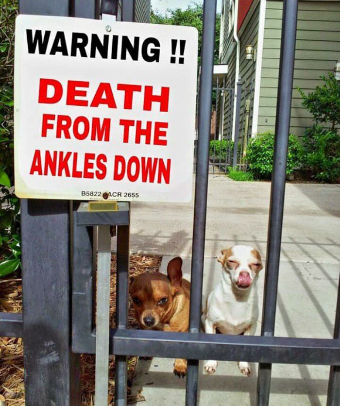 death from ankles down funny picture