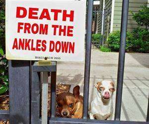 death from ankles down funny picture