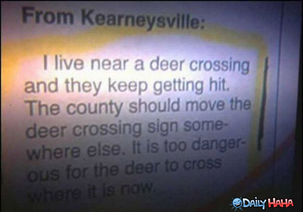 Deer Crossing funny picture