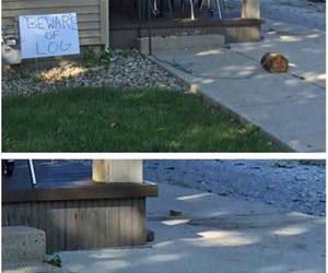 defending this house funny picture