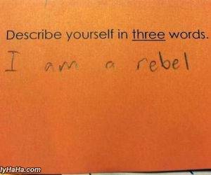 describe yourself funny picture