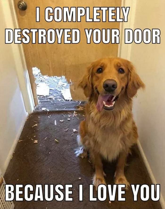 destroyed your door