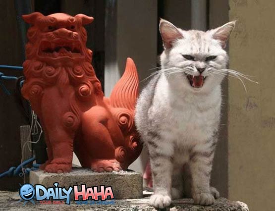 Hells cat