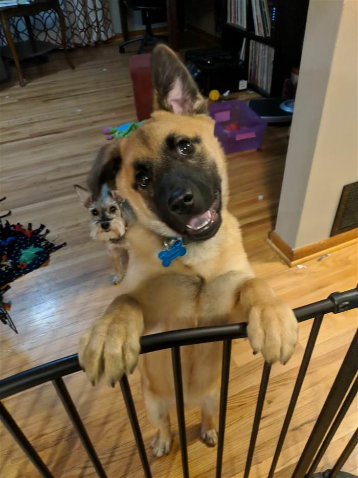 did you say snackies