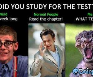 Did You Study funny picture