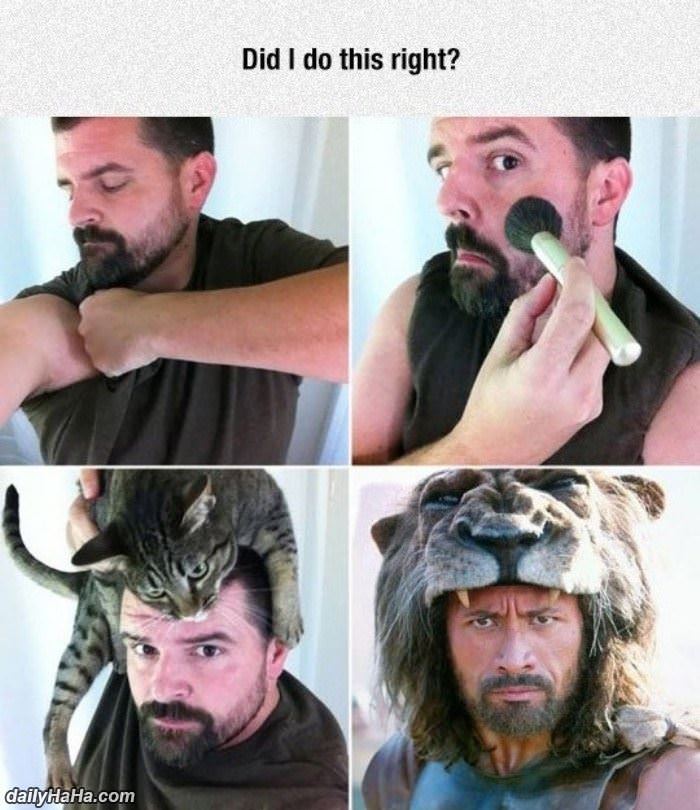 did i do this right funny picture
