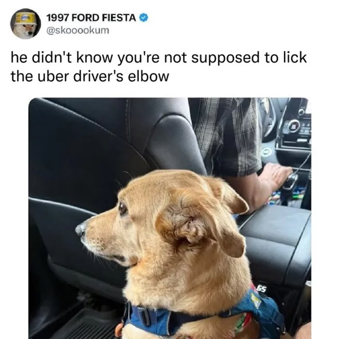 didnt know
