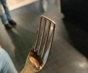 diet fork