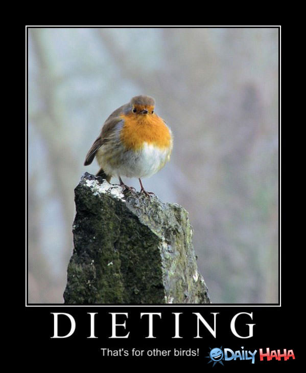 Dieting funny picture